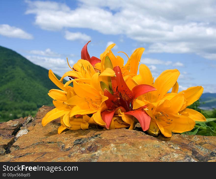 bouquet lily rests upon stone