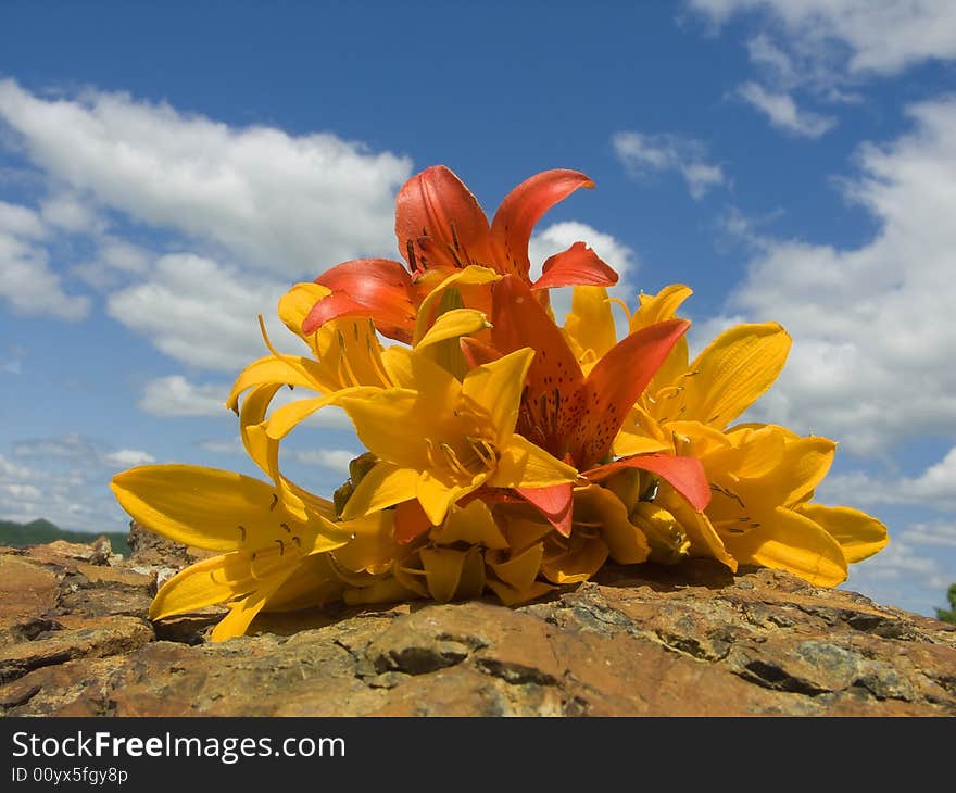 bouquet lily rests upon stone