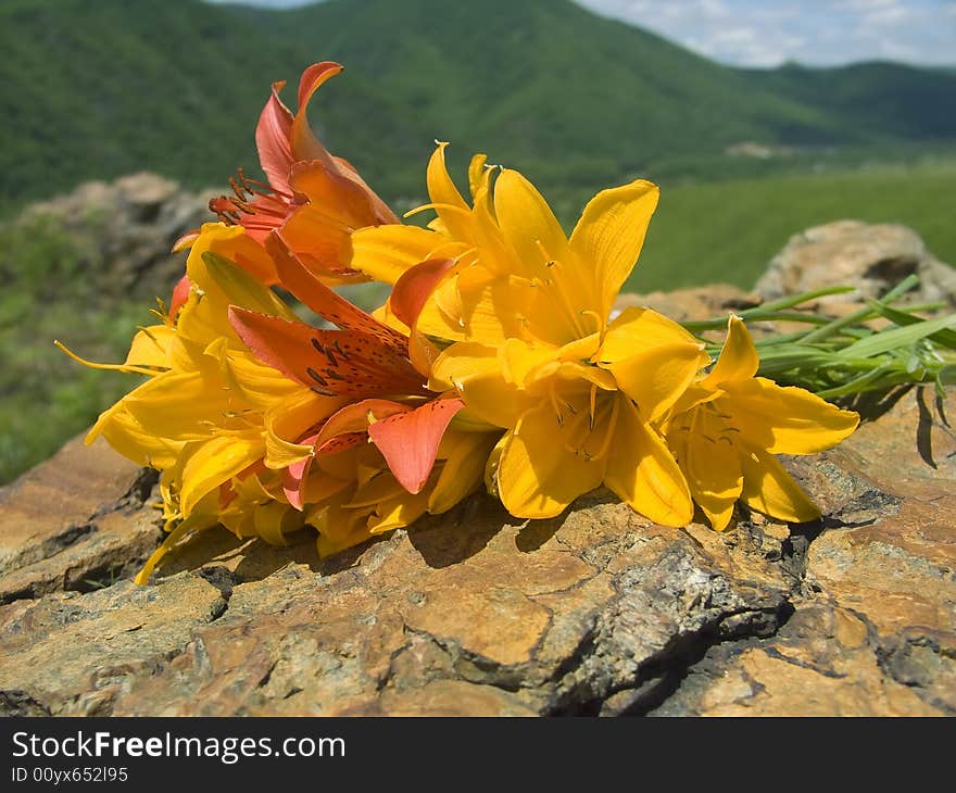 bouquet lily rests upon stone