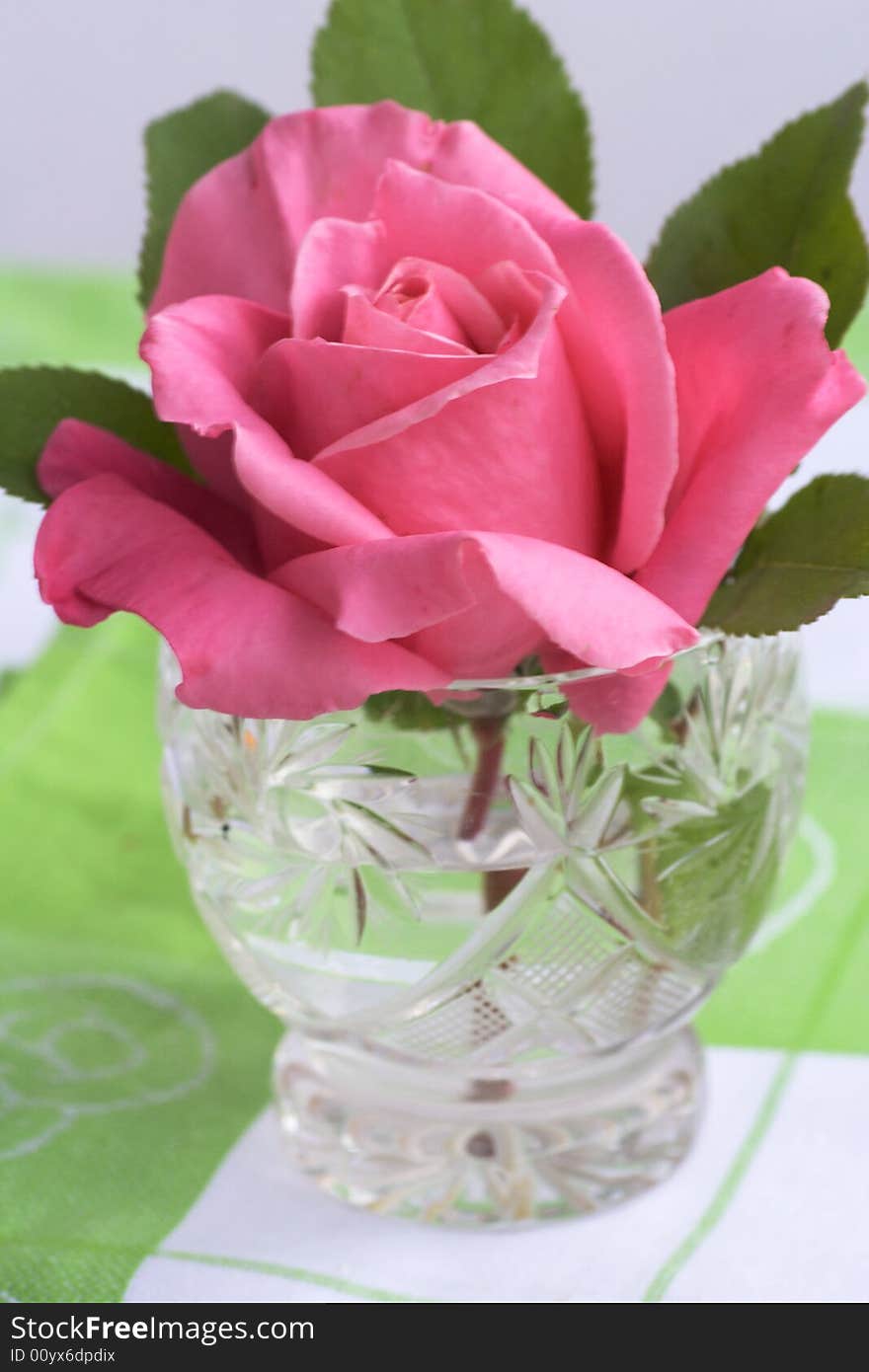 Glass With Pink Rose