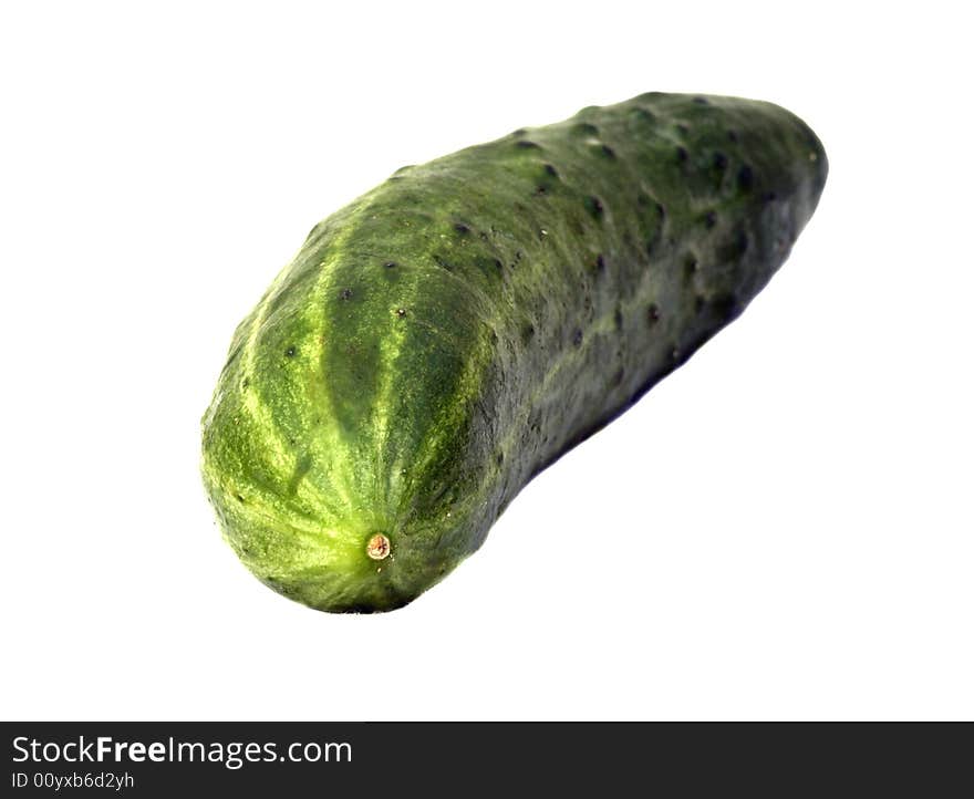 Fresh green cucumber