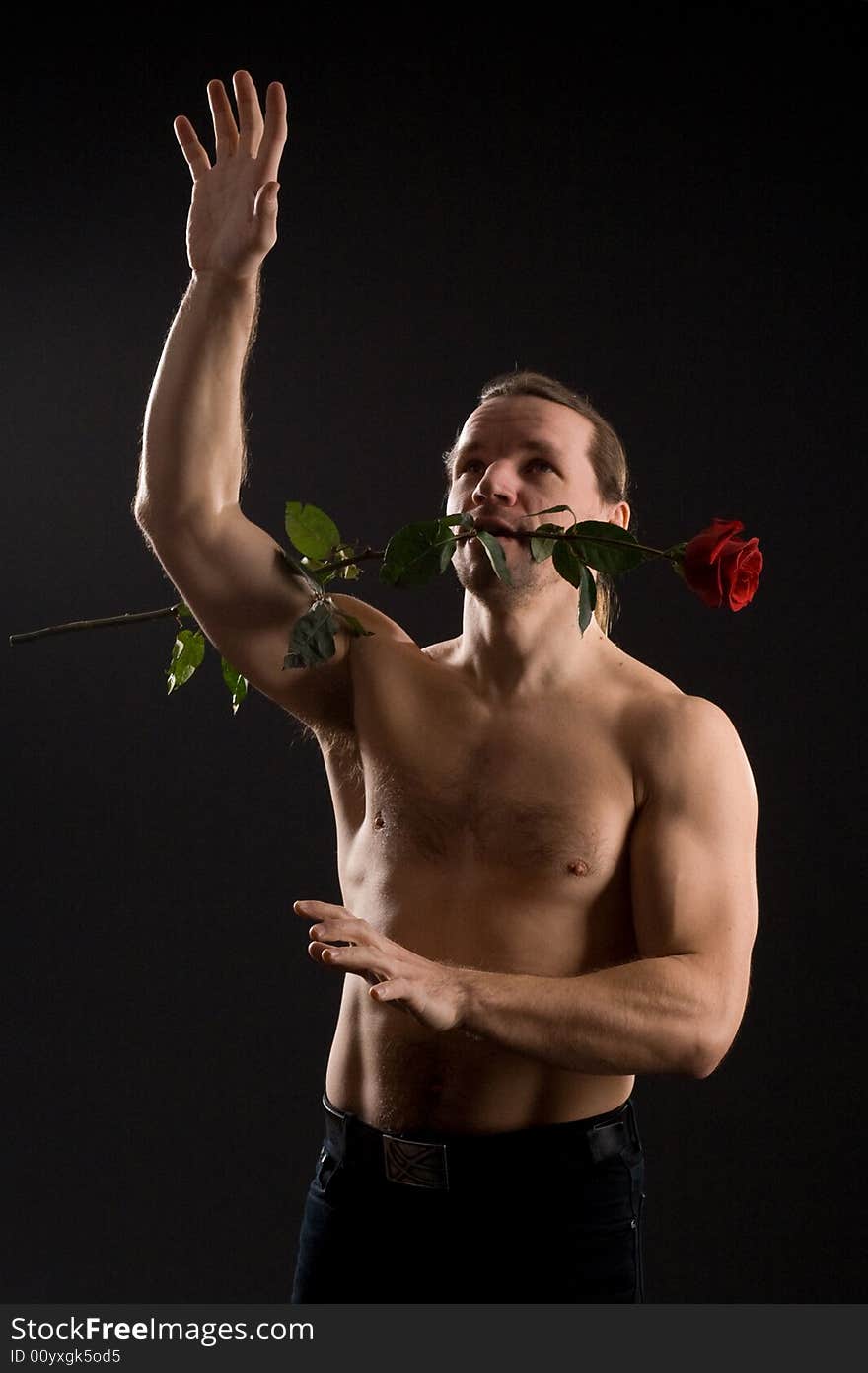 Clambering romantic man with red rose. Clambering romantic man with red rose