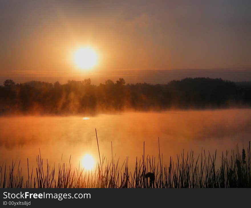 Misty lake