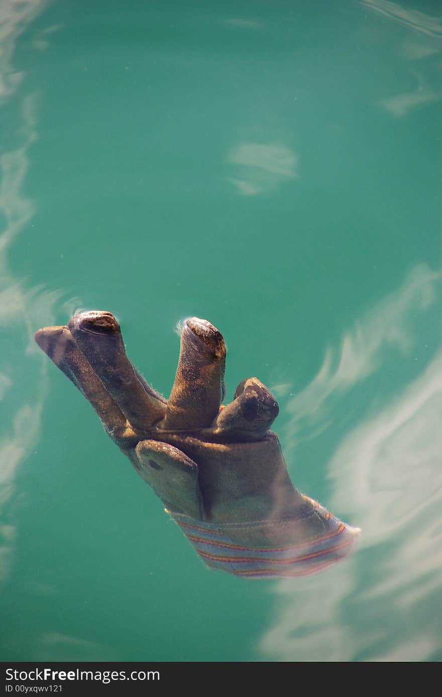 A single glove is floating in the sea. A single glove is floating in the sea