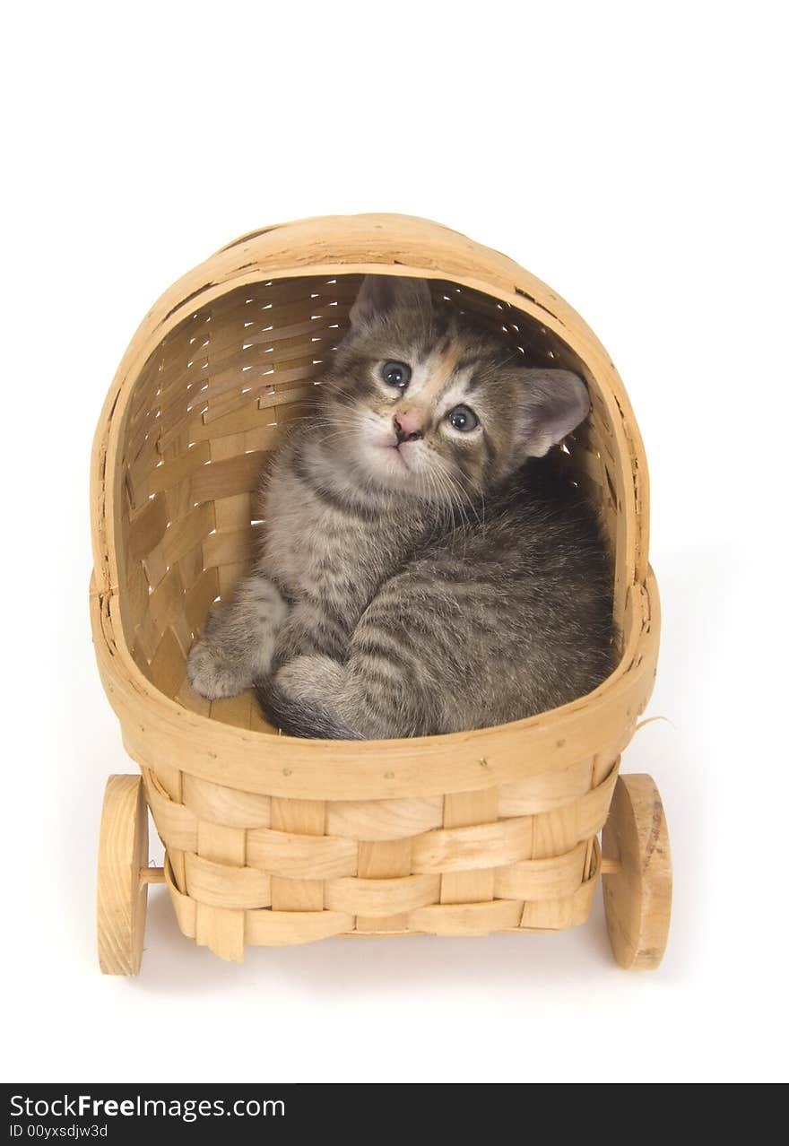 A kitten sits inside of a basket on a white background. A kitten sits inside of a basket on a white background
