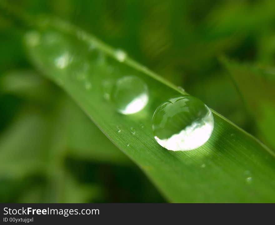 Some waterdrops on a grass blade