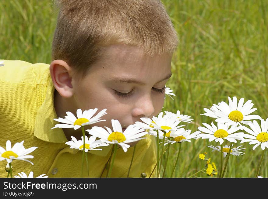 Child smells camomiles on the green meadow. Child smells camomiles on the green meadow