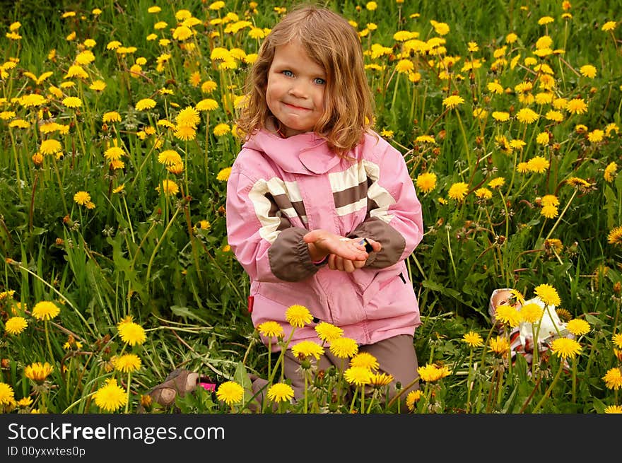 Pretty girl with blue eyes, sitting in dandelions. Pretty girl with blue eyes, sitting in dandelions