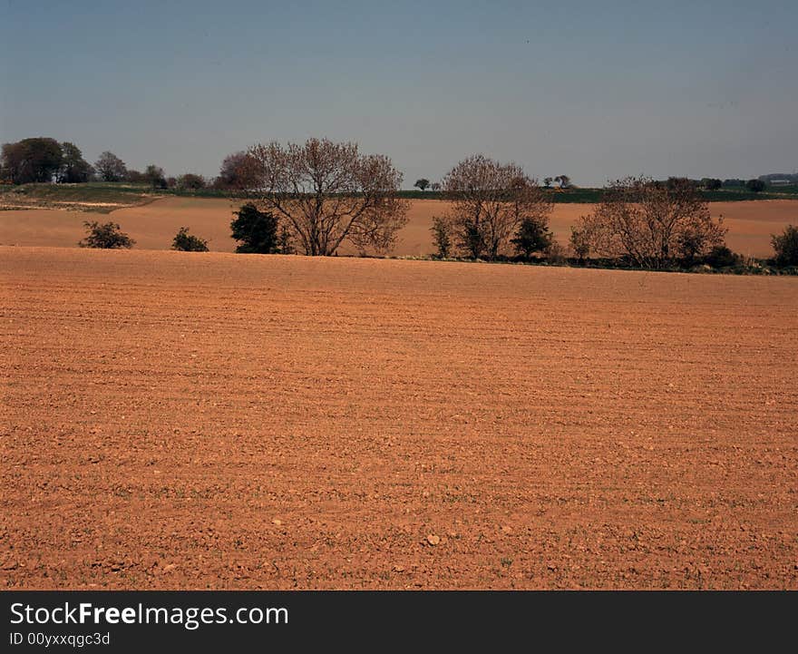 Ploughed Field in Spring.