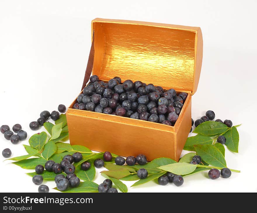 Collected blue berries in the box. Collected blue berries in the box