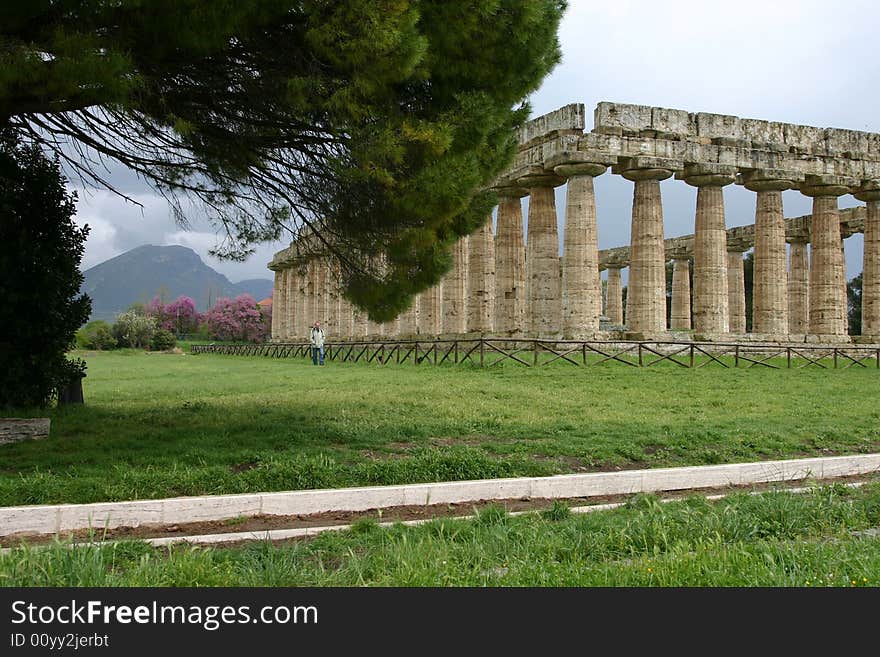 Temple of Hera in Paestum. Paestum is the classical Roman name of a major Graeco-Roman city in the Campania region of Italy.