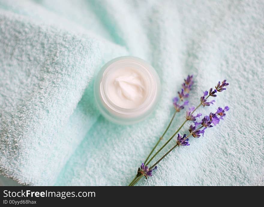 Tender photo with open creme and lavender. Tender photo with open creme and lavender