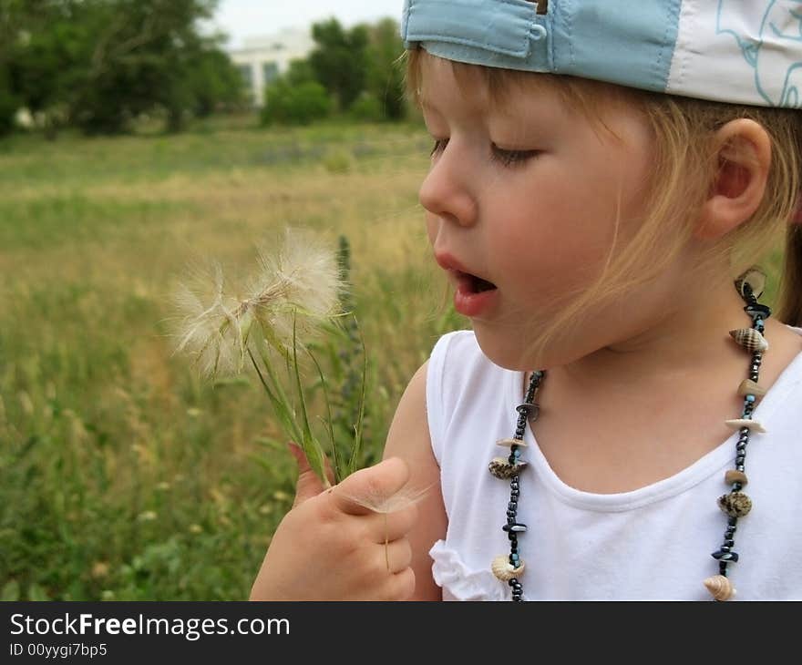 Little Girl Blowing Dandelion Seeds