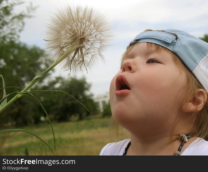 Little girl with a cap blowing a dandelion. Little girl with a cap blowing a dandelion.