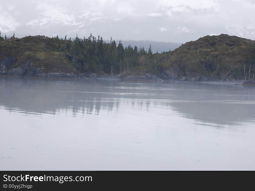 Reflection in the Mist