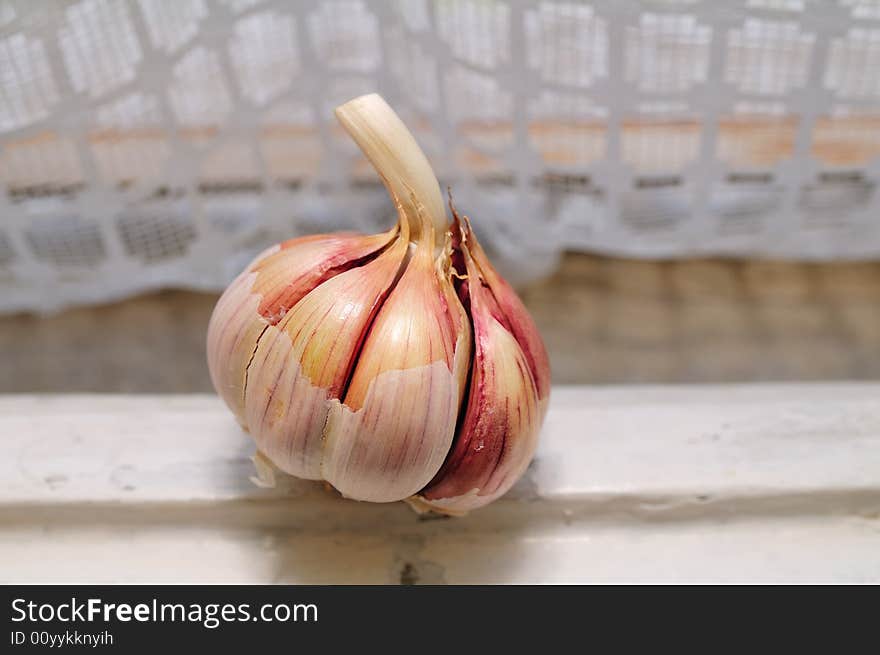 Garlic