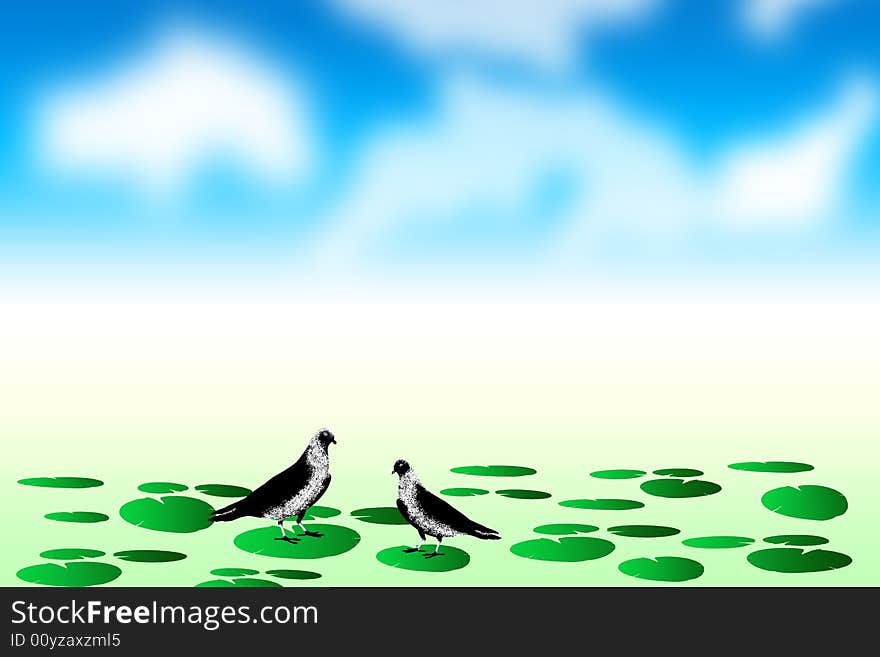 Two doves sitting on lotus leafs in the around the water and blue sky