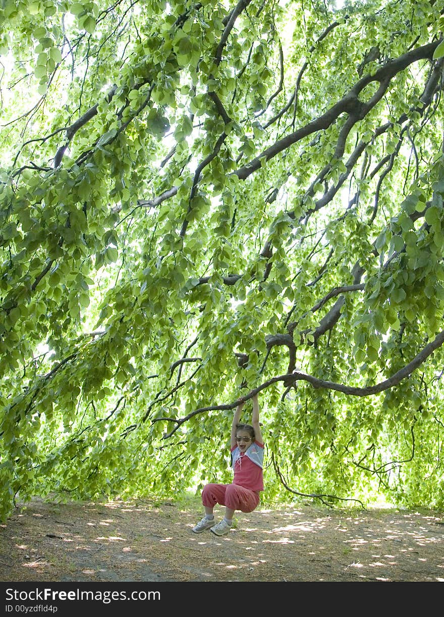 Child playing hanging up a tree