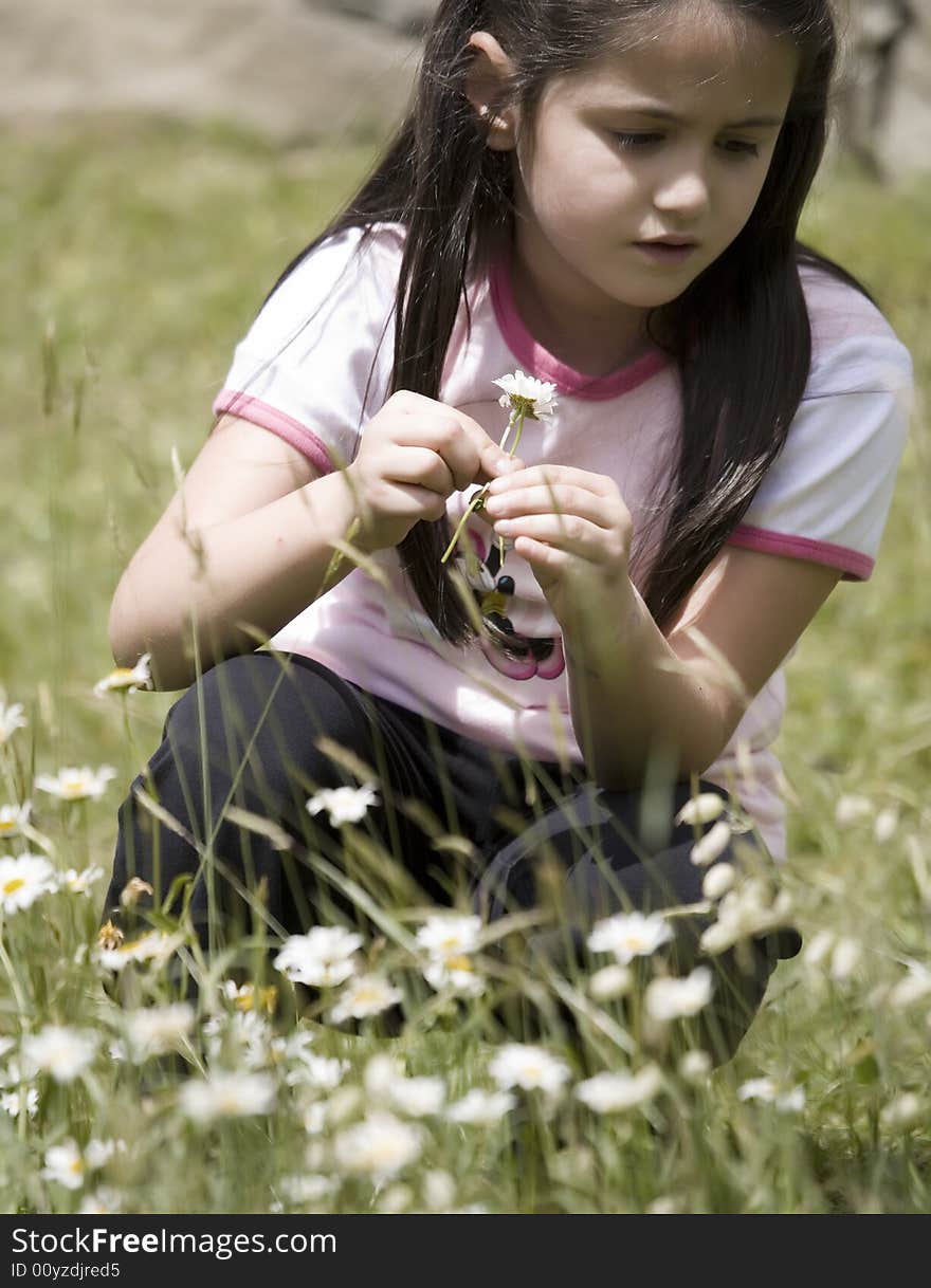 Picking Daisies