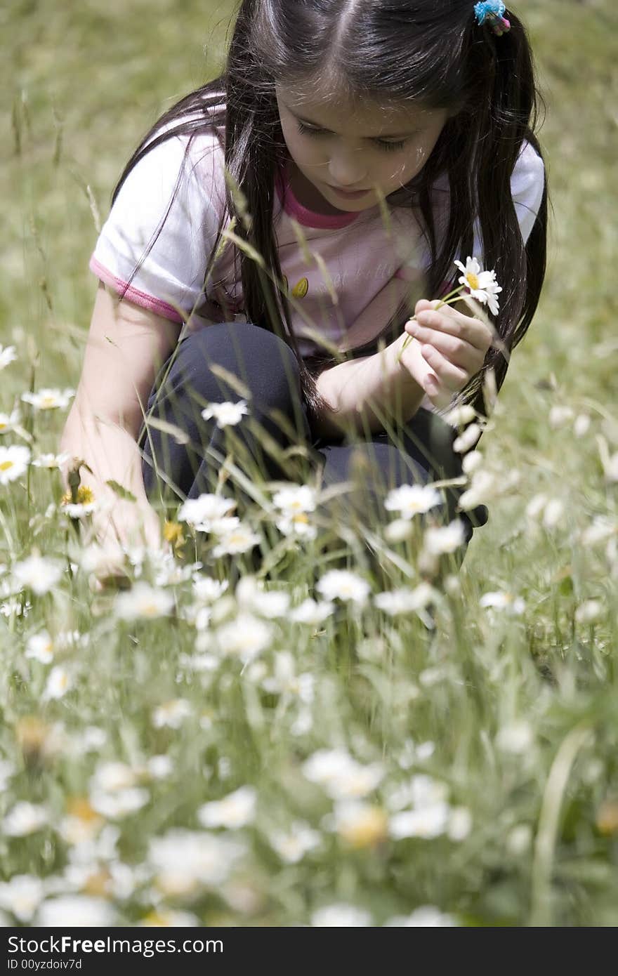 Picking Daisies