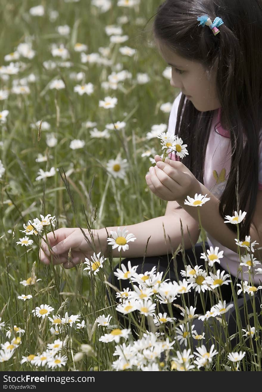 Picking Daisies