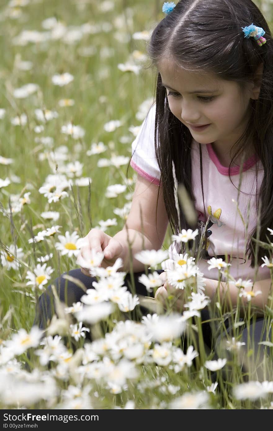 Picking Daisies