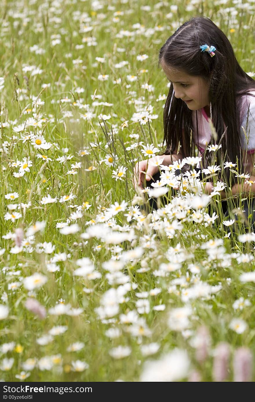 Picking Daisies