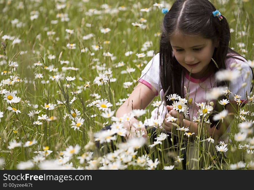 Picking Daisies