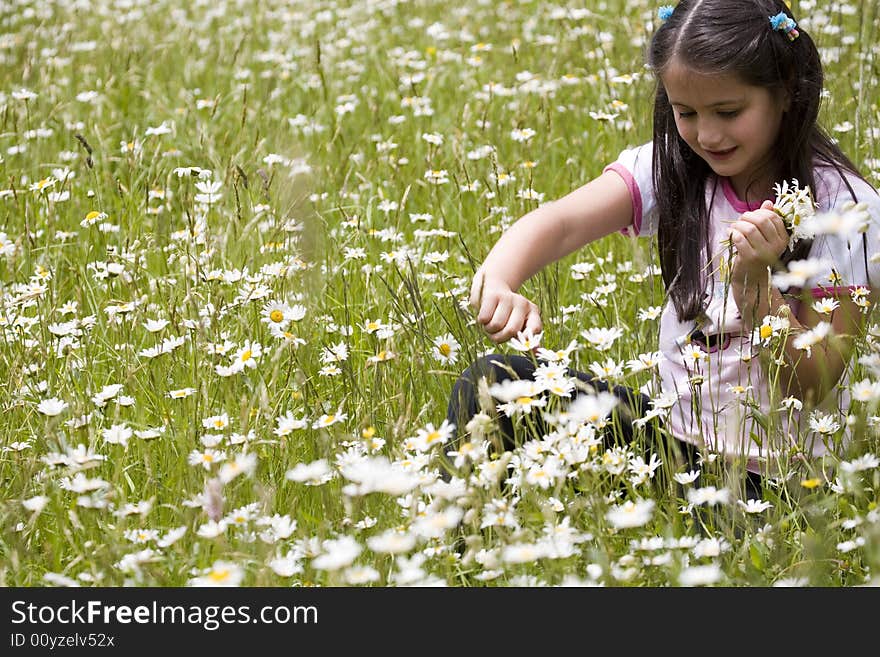 Picking Daisies