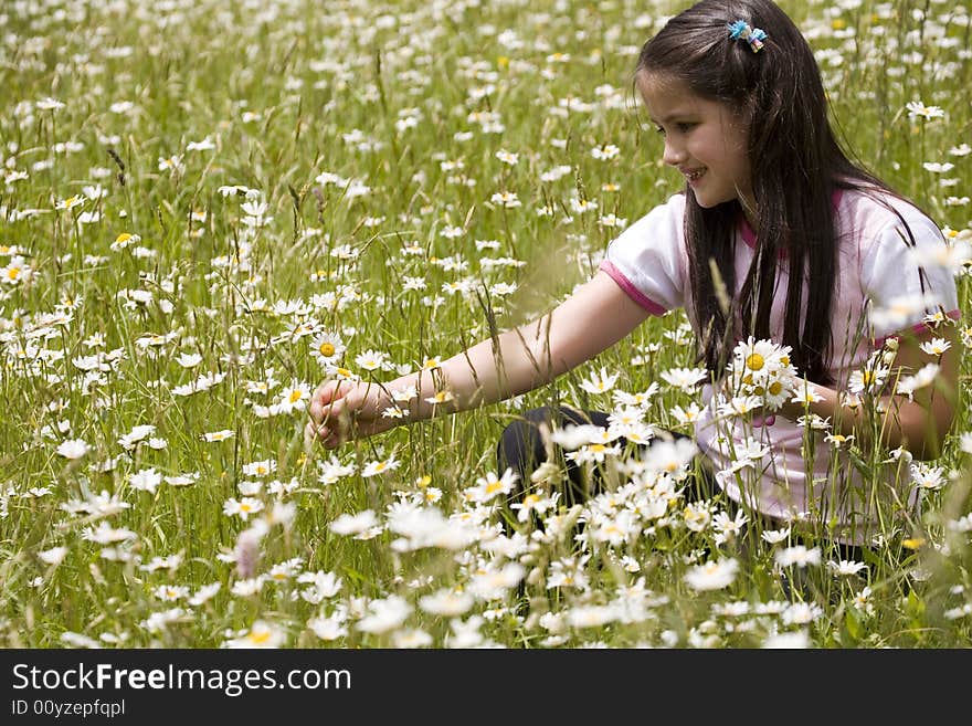 Picking Daisies