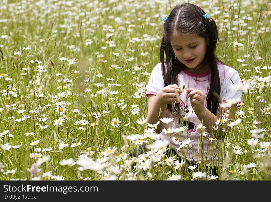 Picking Daisies