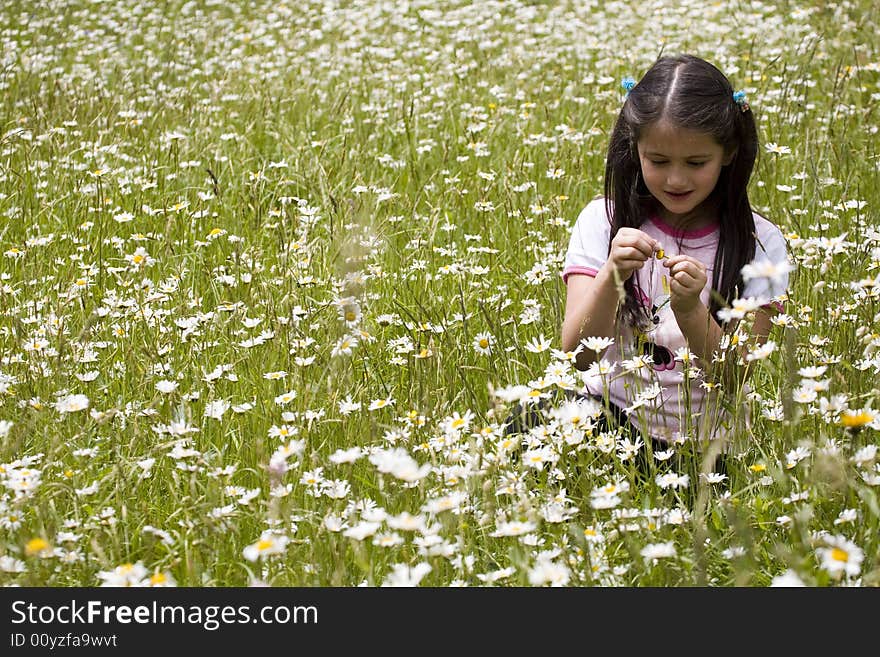 Picking Daisies