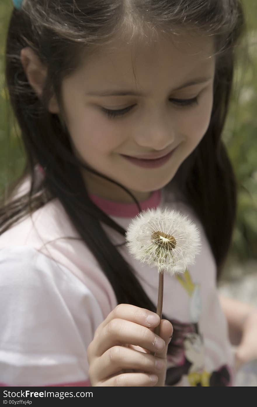 Portrait of young girl child. Portrait of young girl child