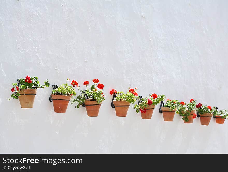 Row of flowerpots