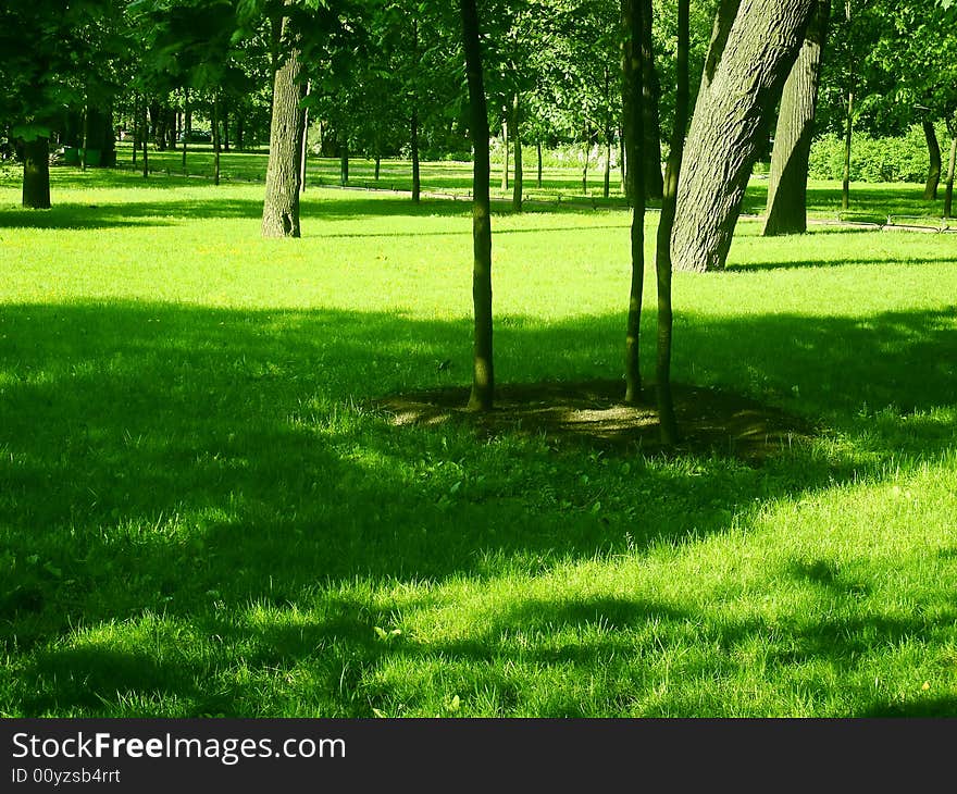 Photo about green summer park and sunlight