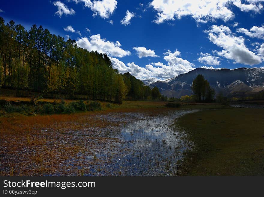 The stream with blue air and white clouds under sunlight. The stream with blue air and white clouds under sunlight