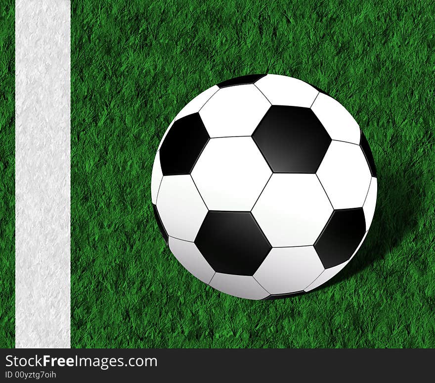 White and black football ball on the grass