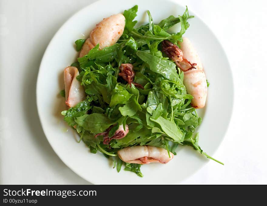 A roasted squids with rucola on a white plate. A roasted squids with rucola on a white plate.