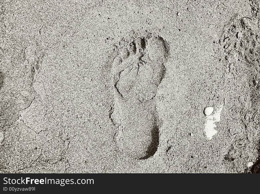 footprint