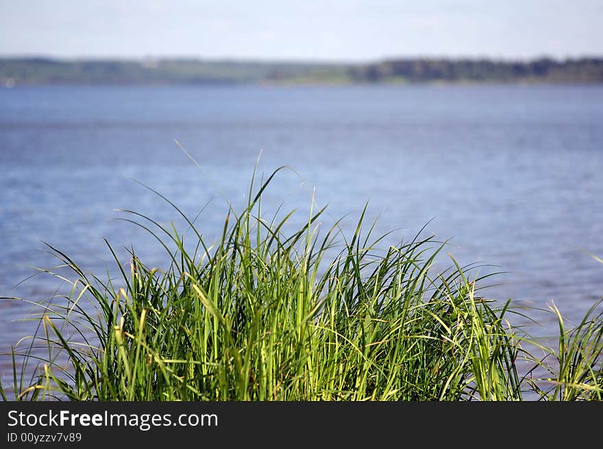 Sky, lake and grass on the shore