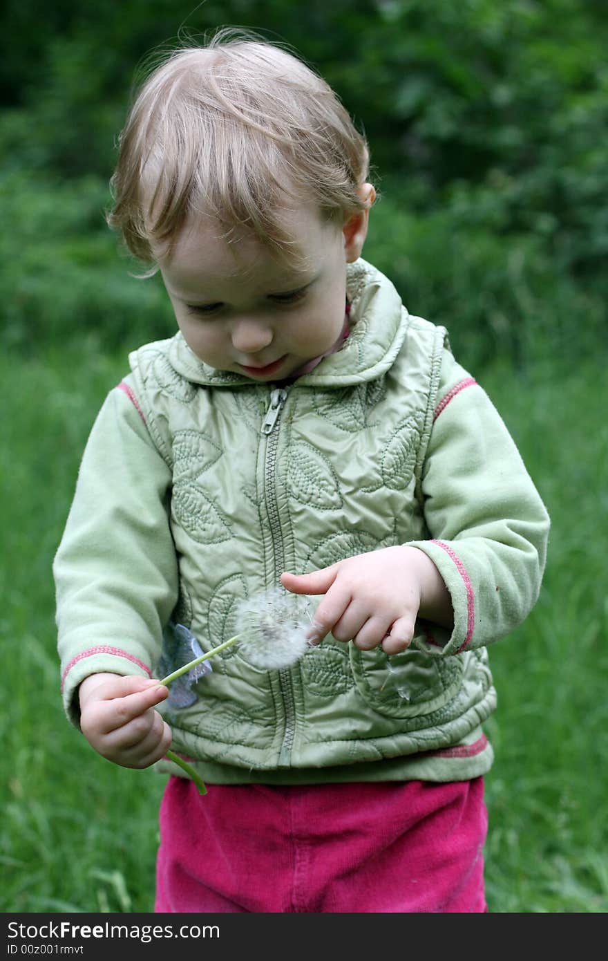 The little girl with a dandelion on a background of green trees