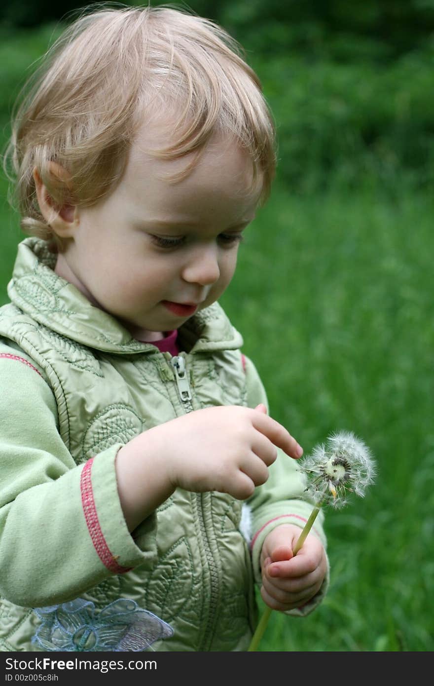 The little girl with a dandelion on a background of green trees