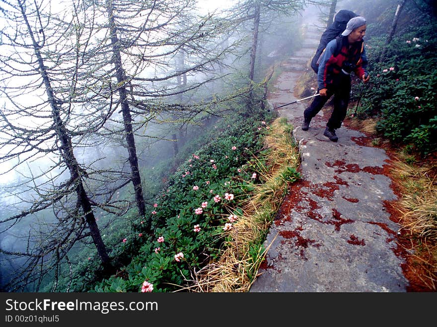 A hiker walking in the forests of Taibai mountain.Shaanxi province,China.