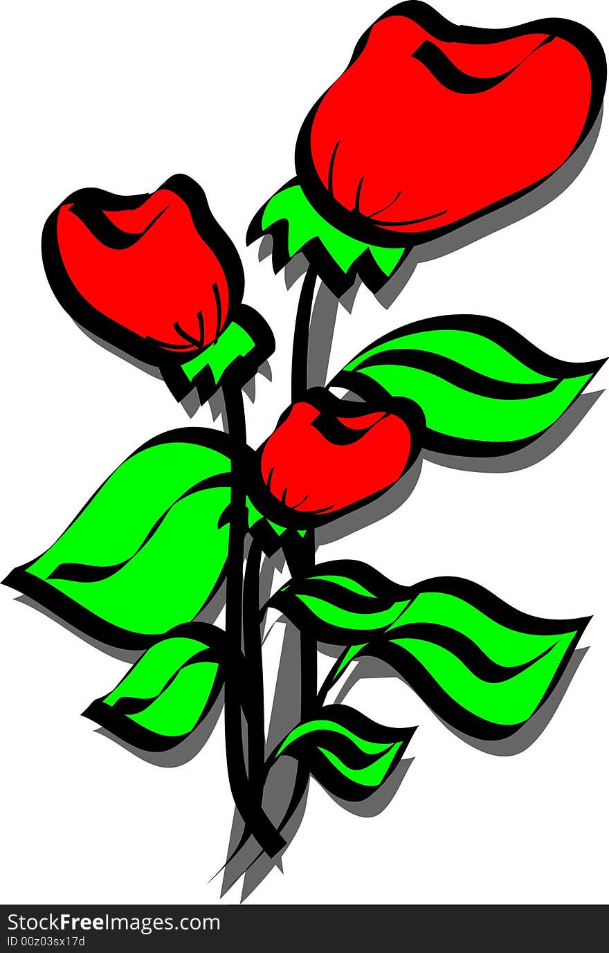 Illustration of a red rose