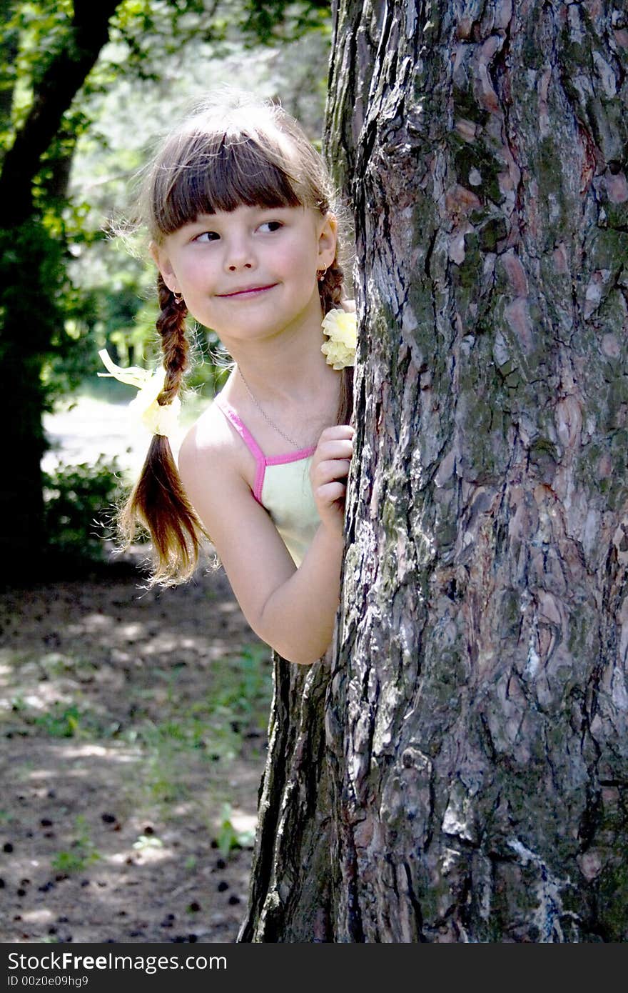 The little girl hides in wood behind a tree. The little girl hides in wood behind a tree