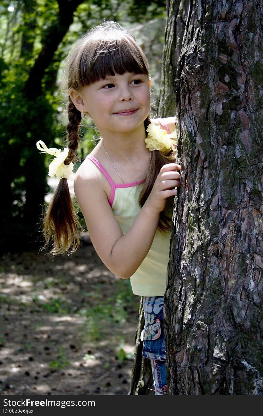 The little girl hides in wood behind a tree. The little girl hides in wood behind a tree