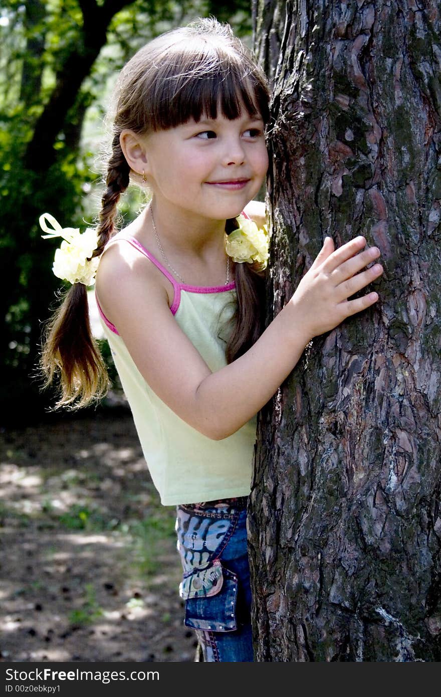 The little girl hides in wood behind a tree. The little girl hides in wood behind a tree