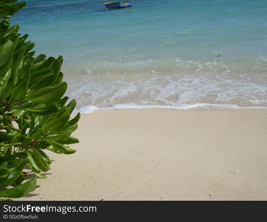 Sea beach background