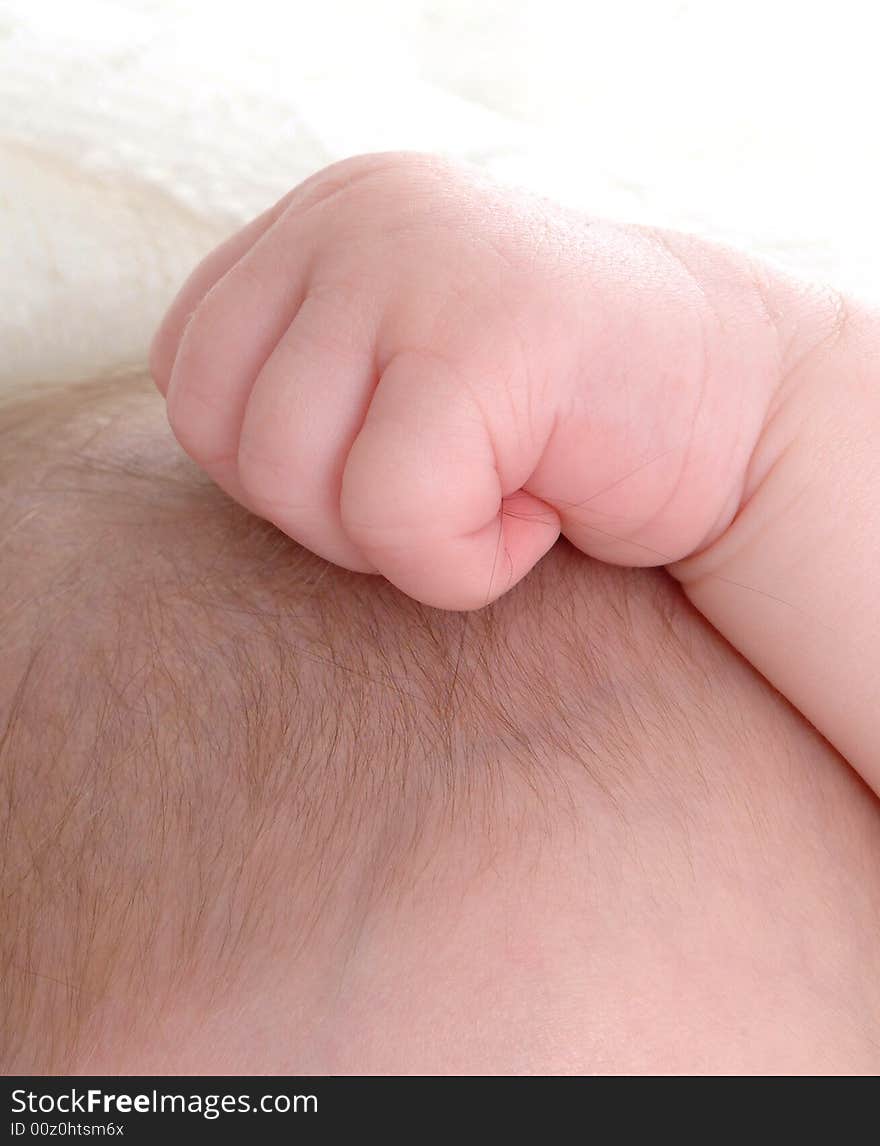 Closeup of infant hand on head positioned in a fist. Closeup of infant hand on head positioned in a fist