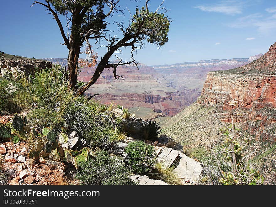 Scenery from Grand Canyon in Arizona